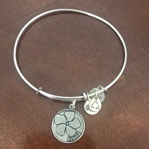 Alex and Ani bracelet